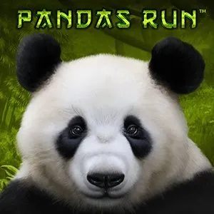 Pandas Run
